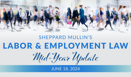 NY Labor & Employment Mid-Year Update