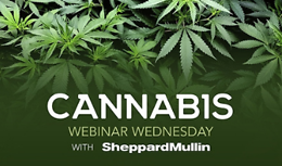 Tribal Cannabis Update 2021