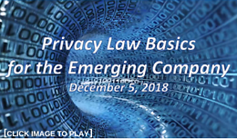 Hot Topics in Privacy Law